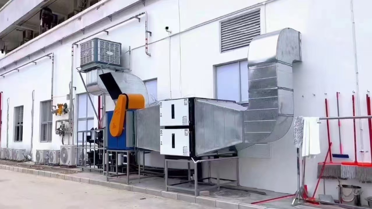 公司 (9)
